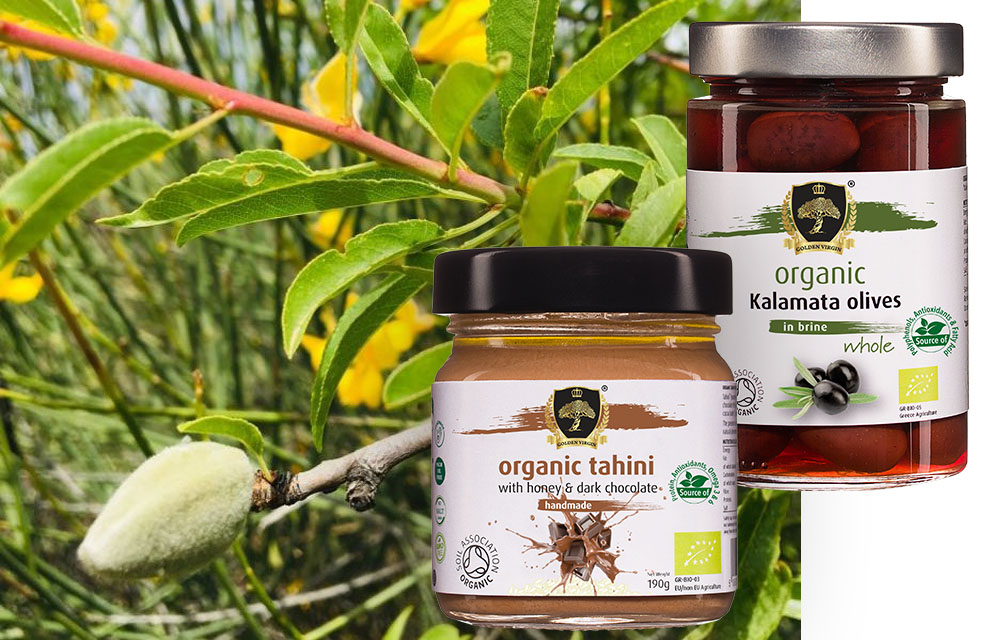 Golden Virgin Organic Products - Why choose us